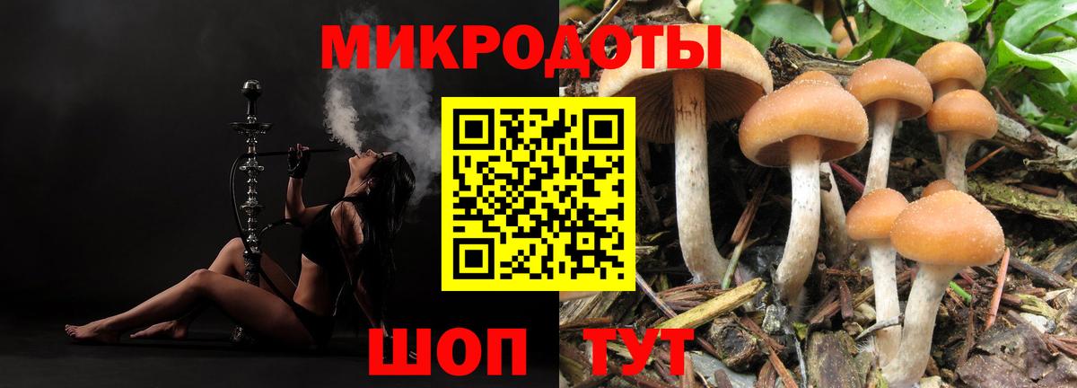 Псилоцибиновые грибы прущие грибы Сыктывкар